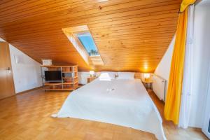 Gallery image of DREAMLAND BLED Apartments in Bled