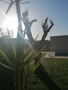 A garden outside Chiaralice