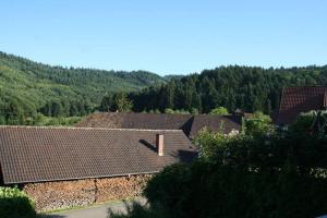 Příroda nedaleko apartmánu + 2 fotografie