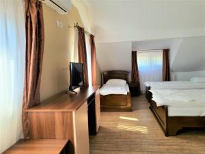 um quarto com 2 camas e uma secretária com uma televisão em Casa Muscelelor em Pietroşani