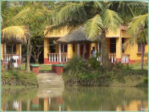 a house with a palm tree next to a body of water at Tarangamala Resort in Mandarmoni