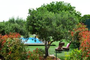Jardí fora de Trullo Suite