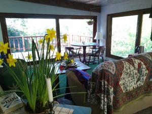 sala de estar con sofá y mesa con flores en Tucked away in the tree tops, en Hillcrest