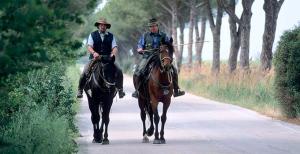 two men riding on horses down a road at Hotel Ausonia in Follonica