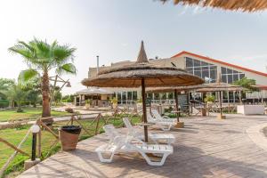 Κήπος έξω από το Marina Wadi Degla Hotel