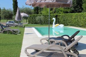Villa Vaccari Garda في غارْدا: بجعة تسبح في مسبح مع كراسي ومظلة