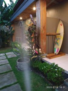 Zahrada ubytování Harris surf villa