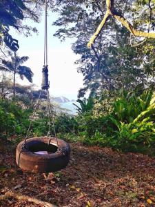a tire swing hanging from a tree in a forest at Tony's Offgrid Cabin Getaway in Scarborough