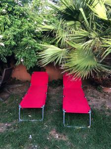 Ogród w obiekcie Beach apartment garden and wifi