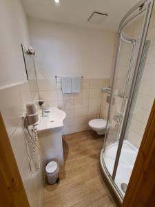 a bathroom with a shower and a sink and a toilet at Hotel & Gasthof zur Post in Neumarkt-Sankt Veit