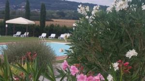 vistas a una piscina con sillas y flores en Casa Country House Girasole vakantie huis-WAKACJE HUIS, en Asciano