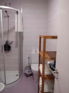 ein Bad mit einer Dusche und einem WC in der Unterkunft Casa Marinera in Baiona