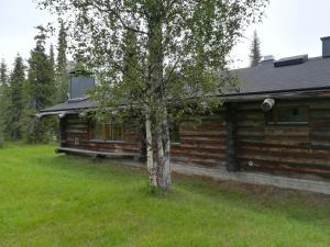 a log cabin with a tree in front of it at Kelo Seasons Autumn in Luosto