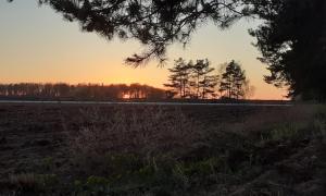 Gallery image of Ferienwohnung auf dem Land Mecklenburgische Seenplatte Müritz, ländliche Region in Below +5 photos