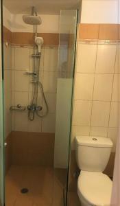a bathroom with a shower with a toilet and a glass door at Palm Trees Hotel in Nydri