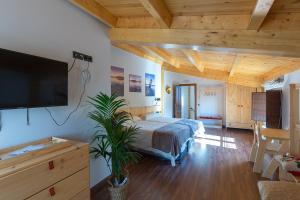 1 dormitorio con 1 cama y TV de pantalla plana en La Rosaleda León - Casa Rural - en Hospital de Órbigo