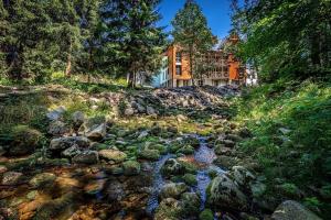 dom na wzgórzu obok strumienia w obiekcie Apartmán B Harrachov w mieście Harrachov +1 zdjęcie