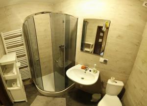 een badkamer met een wastafel, een toilet en een spiegel bij Zajazd Gawrysiówka in Biały Bór