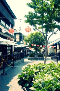 a street with a tree and some bushes at Little Tokyo Hotel in Los Angeles