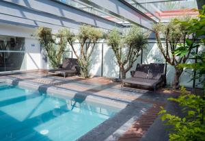 - une piscine intérieure avec 2 chaises et des arbres dans l'établissement Holiday Inn Express Pachuca, an IHG Hotel, à Pachuca