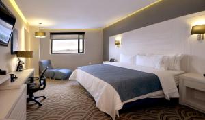 Postel nebo postele na pokoji v ubytování Holiday Inn Express Pachuca by IHG