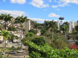 a view of a city with palm trees and buildings at Hotel Picpo in Ponte Nova