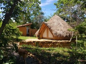 Foto sihtkohas Barichara asuva majutusasutuse Nativo Glamping galeriist +37 fotot