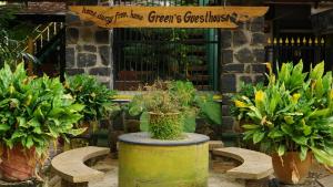 eine Gruppe Topfpflanzen und ein Schild in einem Garten in der Unterkunft Green's Guest House in Auroville
