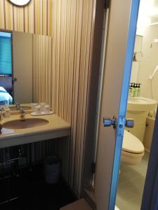 a bathroom with a toilet, sink, and mirror at Hakuba Mominoki Hotel in Hakuba