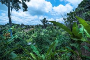 a view of the jungle from the forest at Murni's Houses & Spa in Ubud