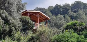 uma pequena cabana de madeira no meio de uma floresta em Casa Roja em Faralya