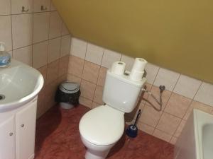 Un baño con un inodoro blanco y un lavabo. en Dom Młodzieżowy w Polanie, en Serednie Małe