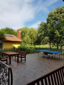 una mesa de ping pong y bancos en un patio en Pensiunea Ruxandra, en Baile 1 Mai