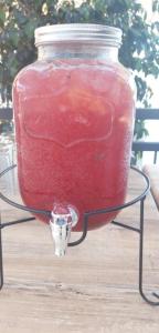 Gallery image of Комплекс Овеч in Tschenge