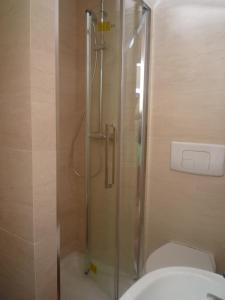 a shower in a bathroom with a toilet at Résidence Appartement Adonis in Nice