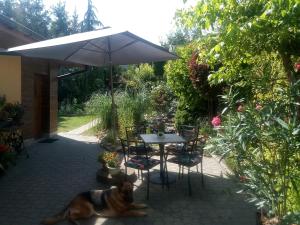 Afbeelding uit fotogalerij van Agroturystyka u Agaty in Chęciny +12 foto's