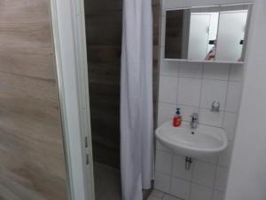 ein Bad mit einem Waschbecken, einem Spiegel und einer Dusche in der Unterkunft Pension und Gaststätte Naturbaude Eschenhof in Kurort Oberwiesenthal