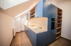 uma casa de banho com armários azuis e um lavatório num quarto em Hostel pod Cisem em Elblag