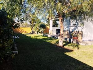 uma árvore num quintal ao lado de uma casa em Chalet la Huerta 2 amplios jardines y WiFi em Conil de la Frontera