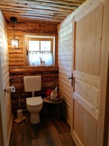 łazienka z toaletą w drewnianym domku w obiekcie Ampferkaralm Hütte w mieście Forstau