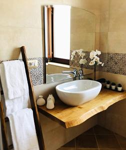 a bathroom with a bowl sink and a mirror at Agriturismo Casale Cerere in Lacedonia