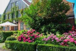 Zahrada ubytování Hotel Ole Liese