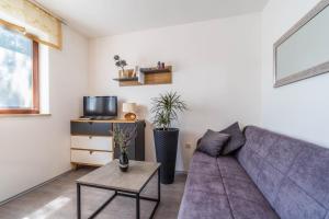 TV a/nebo společenská místnost v ubytování Apartments Krnica 1510
