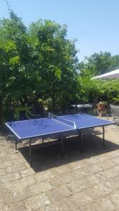 a blue ping pong table sitting in a yard at Casale Citerno in Bolsena