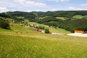 a field of green grass with horses in the distance at Waldhof Grasel in Neuhaus