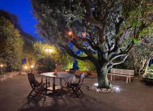 A garden outside Villa GREG stupenda location sulla spiaggia con accesso diretto al mare