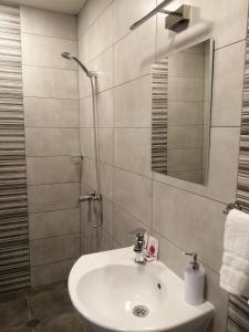 La salle de bains est pourvue d'un lavabo et d'une douche. dans l'établissement La Piazza Hotel, à Choumen