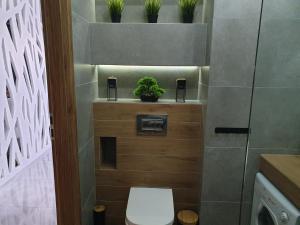 La salle de bains est pourvue de toilettes et de plantes murales. dans l'établissement Apartament Wrocław Centrum Dorzecze Legnickiej, à Wrocław