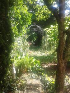 Ein Garten an der Unterkunft Bismarckstrasse 8
