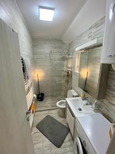 La salle de bains est pourvue d'un lavabo et de toilettes. dans l'établissement Apartman Narcis 2 Divcibare, à Divčibare